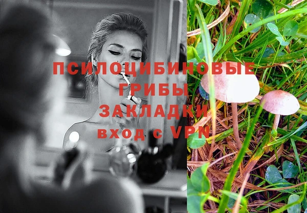 мяу мяу мука Михайловск