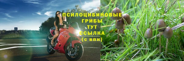 мяу мяу мука Михайловск